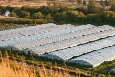  Bir yaz günü modern polietilen bantlı seralar