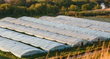  Bir yaz günü modern polietilen bantlı seralar