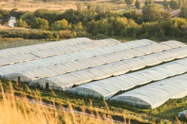  Bir yaz günü modern polietilen bantlı seralar