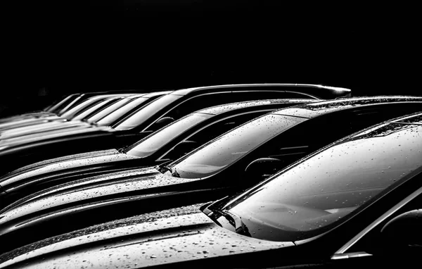 Розкішні Автомобілі Продаж Автомобільний Дилер Інвентаризація — стокове фото