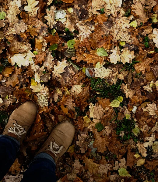 Hombre de pie sobre hojas de otoño —  Fotos de Stock