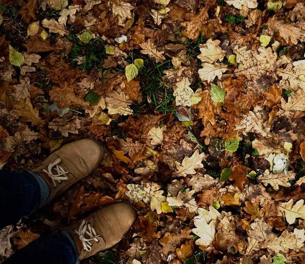 Homme debout sur les feuilles d'automne — Photo