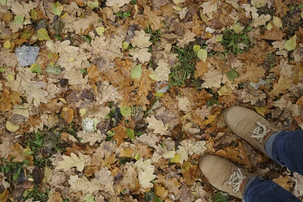 Hombre de pie sobre hojas de otoño —  Fotos de Stock