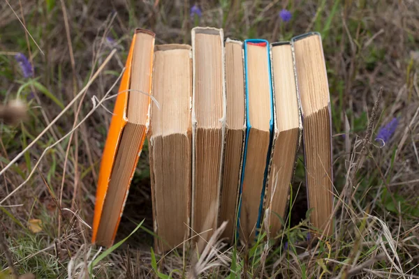 Bücherstapel Auf Der Wiese Trockenes Gras Herbst — Stockfoto