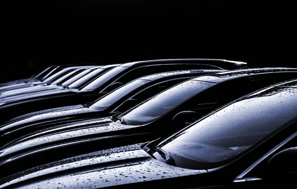 Luxus Autók Eladó Autó Kereskedő Készlet — Stock Fotó