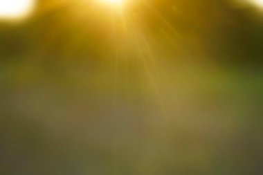  Orman arka planında güneş ışınları var. Doğa Bokeh güneş ışığı soyut bulanık arkaplan