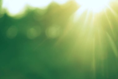  Orman arka planında güneş ışınları var. Doğa Bokeh güneş ışığı soyut bulanık arkaplan