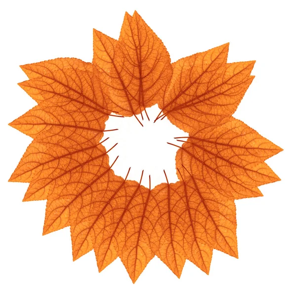 Čerstvé Podzimní Listy Formě Rámečku — Stock fotografie