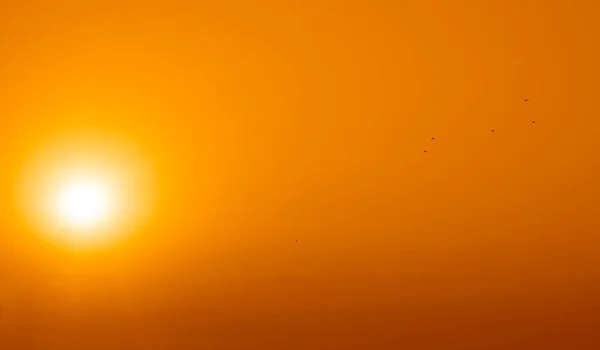Silhouette Sereg Bemutatja Ejtőernyős Teljesítményét Sunrise Sky Hátterében Egy Katonai — Stock Fotó