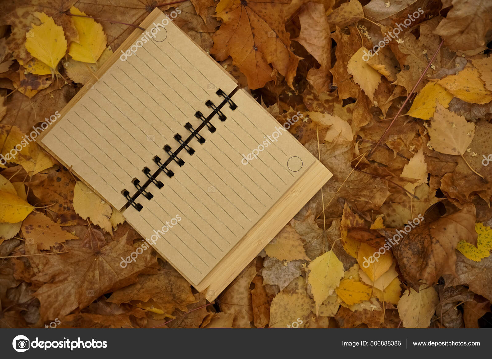 Cuaderno Marrón Abierto Sobre Fondo Hojas Otoño Parque Otoñal — Foto de  stock #506888386 © borjomi88, image size:1600x1167