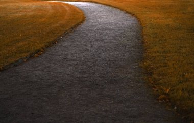 Huzur Parkı 'ndan geçen Taş Yol. Çimenlerin arasından geçen gri bir yol, yaz manzarası