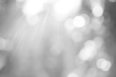 Ağaçta parlayan güzel bir ışık hüzmesi. güneş ışınları.  