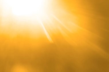 Parlak güneşin altında. Yeşil çimenli soyut doğal arka plan. Sunny soyut yeşil arkaplan. Arkaplan için soyut bulanık yeşil renk, soyut yeşil bokeh arkaplan.