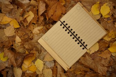 Güz yaprakları arka planında açık kahverengi defter. sonbahar parkı. 