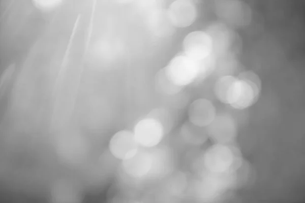 Schöne Bokeh Des Lichts Das Durch Den Baum Scheint — Stockfoto