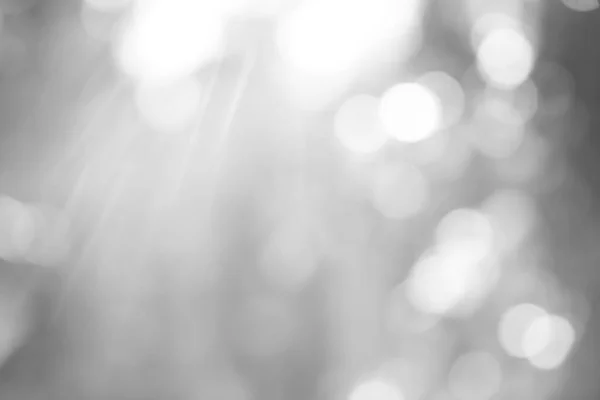 ツリーを通して輝く光の美しいボケ 太陽光線 — ストック写真