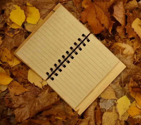 Otwarty Brązowy Notatnik Jesiennym Tle Liści Jesienny Park — Zdjęcie stockowe