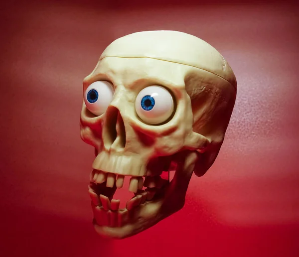 Crânio Humano Plástico Com Olhos Isolados Fundo Vermelho — Fotografia de Stock