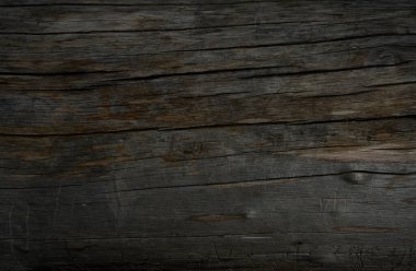 Çürümüş odunları kapatın. Fotoğraf doğa konseptindeki desenleri gösteriyor. Rüzgarla sürüklenen odunlara yakın çekim. Eski ağaç gövdesi dokusu. Tasarımınız için mükemmel bir doğal altyapı.