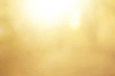 Ağaçta parlayan güzel bir ışık hüzmesi. Sarı ya da altın ağaçlar. Güneş ışınları. Bulanık odaklı görüntü. sonbahar sezonu.