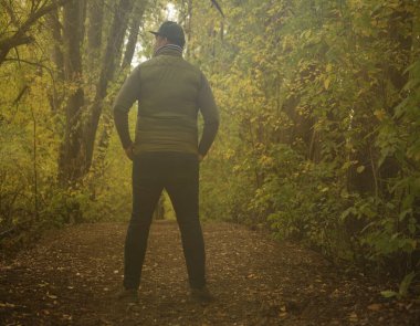 Orman yolunda yürüyüş yapan bir adamın arkası. Erkek ayakta dikiliyor ve yukarı bakıyor.