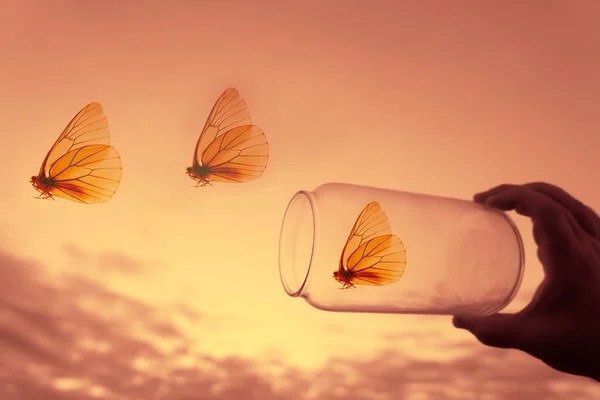 Male Hand Holding Glass Jar Three Butterflies Flying Out Glass — Stock Photo, Image