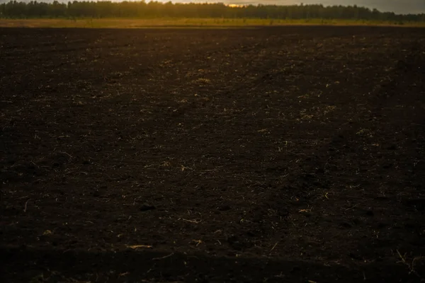 Заднем Плане Вспаханное Поле Закатное Небо Ландшафт Сельскохозяйственными Землями Равнин — стоковое фото