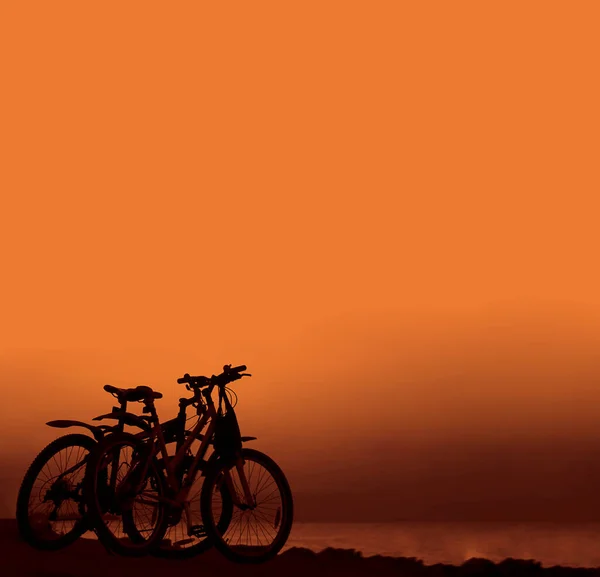 Silhouetten Zweier Fahrräder Die Strand Stehen — Stockfoto