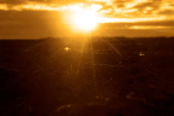 Zachód Słońca Nad Czarnym Polem Grunty Orne Oświetlone Delikatnymi Promieniami — Zdjęcie stockowe