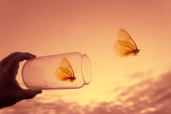 Male hand holding glass jar. Two butterflies flying out of glass jar into the air. Concept of freedom, peace and spirituality