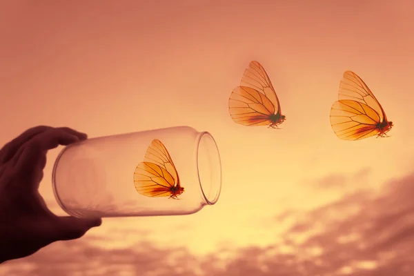 Jarra Vidrio Mano Masculina Tres Mariposas Volando Desde Frasco Vidrio —  Fotos de Stock