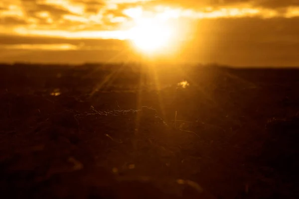 Zonsondergang Boven Zwart Veld Bouwland Verlicht Door Zachte Stralen Van — Stockfoto