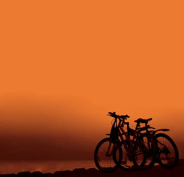 Silhouetten Zweier Fahrräder Die Strand Stehen — Stockfoto