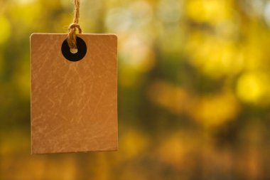 Düşen sonbahar yapraklarının arka planında sarı kare fiyat etiketi var. Ağaçlarda sonbahar indirimi etiketi. Sonbahar tanıtım afişi tasarımı.