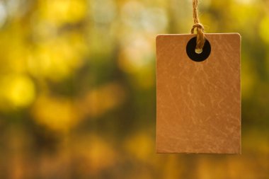 Düşen sonbahar yapraklarının arka planında sarı kare fiyat etiketi var. Ağaçlarda sonbahar indirimi etiketi. Sonbahar tanıtım afişi tasarımı.