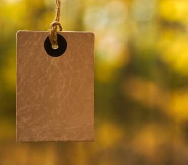 Düşen sonbahar yapraklarının arka planında sarı kare fiyat etiketi var. Ağaçlarda sonbahar indirimi etiketi. Sonbahar tanıtım afişi tasarımı.