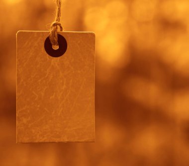 Düşen sonbahar yapraklarının arka planında sarı kare fiyat etiketi var. Ağaçlarda sonbahar indirimi etiketi. Sonbahar tanıtım afişi tasarımı.