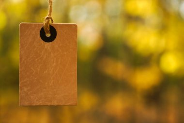 Düşen sonbahar yapraklarının arka planında sarı kare fiyat etiketi var. Ağaçlarda sonbahar indirimi etiketi. Sonbahar tanıtım afişi tasarımı.