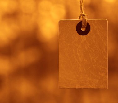 Düşen sonbahar yapraklarının arka planında sarı kare fiyat etiketi var. Ağaçlarda sonbahar indirimi etiketi. Sonbahar tanıtım afişi tasarımı.