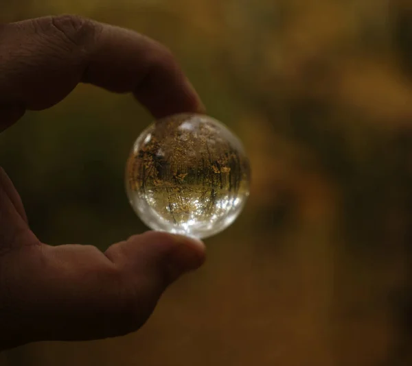 Sonbahar Parkının Yansıttığı Mercek Topunu Tutan Bir Camdan Mercek Topları — Stok fotoğraf