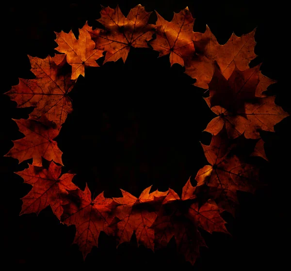 Herbstlicher Ahornblätterkranz Herbst Blätter Runden Rahmen — Stockfoto