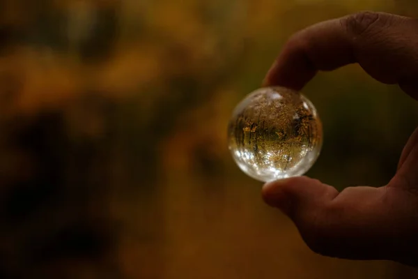 Sonbahar Parkının Yansıttığı Mercek Topunu Tutan Bir Camdan Mercek Topları — Stok fotoğraf
