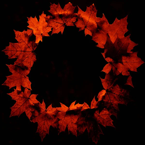 Autumn Maple Leaves Wreath Autumn Leaves Frame — Stock Photo, Image