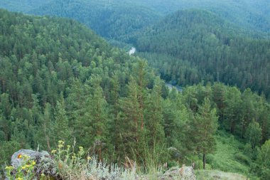 Nehirle güzel manzara