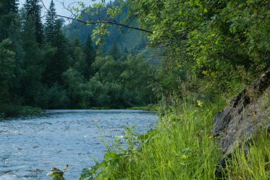 ayağı olan yatay yol
