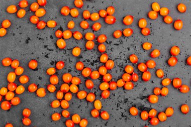 Parlak kokulu taze deniz-topalak