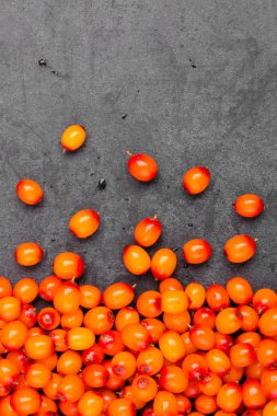 Parlak kokulu taze deniz-topalak