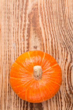 Güzel parlak olgun kabak