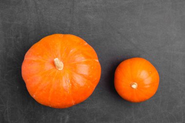 Güzel parlak olgun kabak