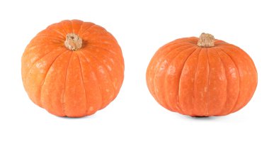 beyaz zemin üzerinde iki turuncu kabak